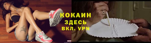 дживик Аркадак